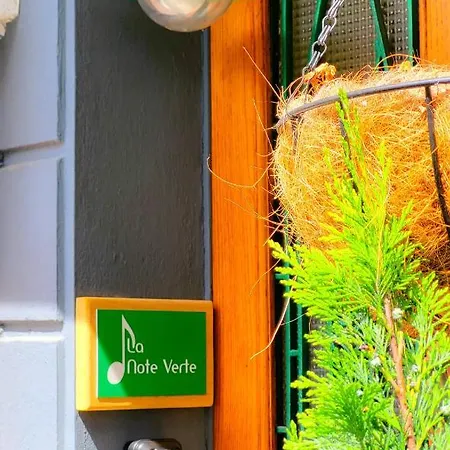 La Note Verte - Parking Gratuit Devant L'Entree Foix Buitenkant foto